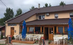 Balaton Panzio